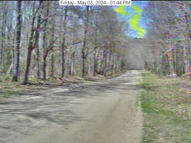 Trail Webcam Old Forge, NY