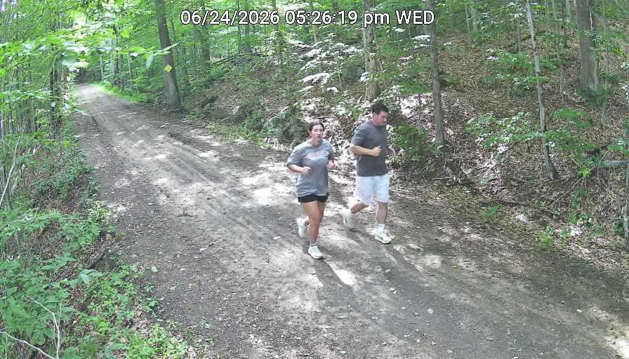 Town Of Webb Trails
