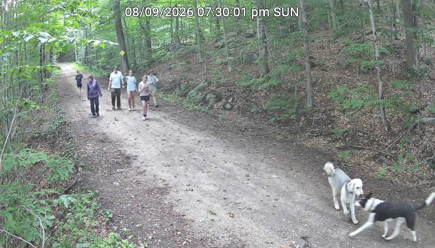 Town Of Webb Trails
